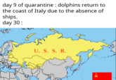 day 9 of quarantine : dolphins return to the coast of Italy due to the absence of ships. day 30 : U. S. S. R.