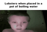 Lobsters when placed in a pot of boiling water