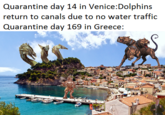 Quarantine day 14 in Venice:Dolphins return to canals due to no water traffic Quarantine day 169 in Greece: