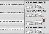 GAMING Day 1 of quarantine GAMING Day 12 of quarantine End of quarantine GAMING Day 1 after quarantine