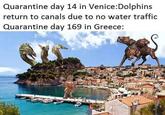 Quarantine day 14 in Venice:Dolphins return to canals due to no water traffic Quarantine day 169 in Greece: