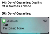 14th Day of Quarantine: Dolphins return to canals in Venice 60th Day of Quarantine: MESSAGES now Dad I'm coming home