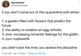big catapult @catapultqueen If you don't come out of this quarantine with either: 1. a garden filled with flowers that predict the future 2. the ability to swallow an egg (whole) 3. ever-increasing romantic feelings for the goblin in your cupboards you didn't lack the time, you lacked the discipline 11:30 AM · Apr 7, 2020 · Twitter for iPhone