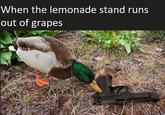 peace was never an option | /r/dankmemes