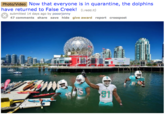 Photo/Video Now that everyone is in quarantine, the dolphins have returned to False Creek! (1.redd.it) submitted 14 days ago by pooorjonny 47 comments share save hide give award report crosspost 15