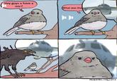 Settings>Audio>Plane sound - 0 Hey guys u have a mic? (What was tha A.. FALSEKNEES CONO 2016