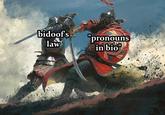bidoofs "pronouns in bio" law