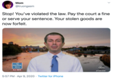 Mom @truongasm Stop! You've violated the law. Pay the court a fine or serve your sentence. Your stolen goods are now forfeit. THE POLITICAL VIEW abc ALL NEW *THEVIEW 5:57 PM · Apr 9, 2020 · Twitter for iPhone