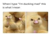 I said what I said When I type "I'm ducking mad" this is what I mean