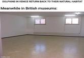 DOLPHINS IN VENICE RETURN BACK TO THEIR NATURAL HABITAT Meanwhile in British museums: imgflip.com