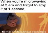 When you're microwaving at 3 am and forget to stop it at 1 second: Now all of China knows you're here