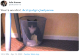 Julie Kramer @JJKramer13 You're an idiot. #catsjudgingkellyanne 10:32 PM · Apr 15, 2020 · Twitter Web App