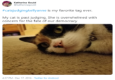 Katherine Gould @katherinegould #catsjudgingkellyanne is my favorite tag ever. My cat is past judging. She is overwhelmed with concern for the fate of our democracy 4:37 PM - Dec 17, 2016 · Twitter for Android