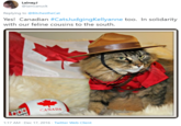 LaineyJ @iamcanuck Replying to @BitchestheCat Yes! Canadian #CatsJudgingKellyanne too. In solidarity with our feline cousins to the south. CANADA 1:17 AM - Dec 17, 2016 · Twitter Web Client