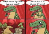Why does Python live on land? Because it's above C-level.