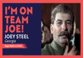 I'M ON TEAM JOE! JOEY STEEL Georgia Text MARX to 555888