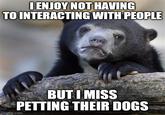I ENJOY NOT HAVING TO INTERACTING WITH PEOPLE BUT I MISS PETTING THEIR DOGS imgflip.com