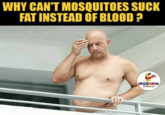 WHY CAN'T MOSQUITOES SUCK FAT INSTEAD OFBLOOD ? LACGHING Colowrs