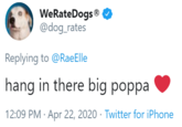 WeRateDogs® @dog_rates Replying to @RaeElle hang in there big poppa 12:09 PM · Apr 22, 2020 · Twitter for iPhone
