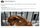 Obsessed Dodgers Fan @MoreDodgerBlues F--- everyone else, we need to cure corona for Big Poppa. Rae Elle @RaeElle · Apr 21 Big Poppa has been so sad today, I think he miss playing with the kids in the building. He just watches them from the patio Show this thread 10:58 AM · Apr 22, 2020 · Twitter for iPhone