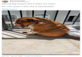 AnonymousGirl @Anonymo99859659 Seeing Big Poppa sad breaks my heart. Oh why does it feel like a heartbreak? #BigPoppa 2:07 AM - Apr 23, 2020 - Twitter for Android