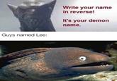 Write your name in reverse! It's your demon name. Guys named Lee: