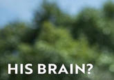 HIS BRAIN?