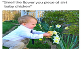 "Smell the flower you piece of sht baby chicken"