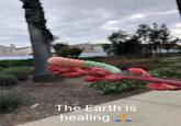 The Earth is healing