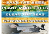 SAVE THE BEES PLANT MORE TREES CLEAN THE SEAS Shredded cheese English teacher