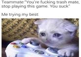 Teammate:"You're f------ trash mate, stop playing this game. You suck" Me trying my best: