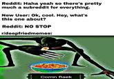 Reddit: Haha yeah so there's pretty much a subreddit for everything. New User: Ok, cool. Hey, what's this one about? Reddit: NO STOP r/deepfriedmemes: Cornn faek