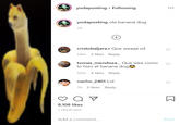 yodaposting • Following yodaposting ola banana dog 1h +) cristobaljara.r Que weaaa xd 59m 3 likes Reply tomas_mendoza. Que wea como lo hizo el banana doge 55m 4 likes Reply nacho_2401 Lol 1h 3 likes Reply 8,108 likes 1 HOUR AGO Add a comment... Post