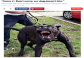 "Come in! Don't worry, our dog doesn't bite." American Pit Bull Terrier Bandog Perro de Presa Canario Bully Kutta Alaunt 2,353 points · 93 comments f Facebook Pinterest Next Post