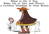What to Do if You Wake Up at 3am and There's a Cowboy Standing in Your Room