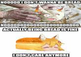 NO0000I DONTWANNA BE BREAD NO0000000000000000000000 ACTUALLY BEING BREADIS FINE IDONT CARE ANYMORE