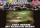 OH THOSE PROTESTERS. RSUI TOF S ESTENTAL NESS nny THEY WARM. MY BLOATED HEART imgflip.com