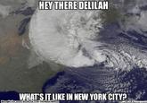 HEY THERE DELILAH WHAT'S IT LIKE IN NEW YORK CITY? Brought by www.facebook.com/TheMusicMemes WhatloUMeme.com