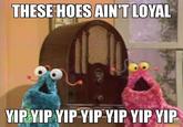 THESE HOES AINT LOYAL YIP YIP YIP YIP YIP YIP YIP