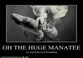 OH THE HUGE MANATEE Ya Just Gotta Love PhotoShop TOANHASCHEEZBURGER.COM