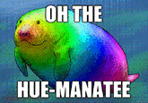 ОН ТHЕ HUE-MANATEE