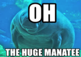 OH THE HUGE MANATEE