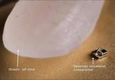 Worlds smallest Grain of rice computer