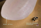 Worlds smallest Grain of rice computer your d---