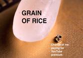 GRAIN OF RICE Chance of me paying for YouTube premium