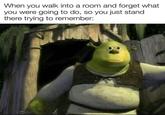 When you walk into a room and forget what you were going to do, so you just stand there trying to remember: