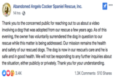 Abandoned Angels Cocker Spaniel Rescue, Inc. 14 hrs · O Thank you to the concerned public for reaching out to us about a video involving a dog that was adopted from our rescue a few years ago. As of this evening, the owner has voluntarily surrendered the dog in question to our rescue while this matter is being addressed. Our mission remains the health and safety of our rescued dogs. The dog is now in our rescue's care and he is safe and in good health. We will not be responding to any further inquiries about the situation, either publicly or privately. Thank you for your understanding. DOS 3.4K 1.3K Comments 510 Shares
