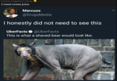 Posted by u/ruggedburn 1 year ago I need unsee juice Marcuss @DrugsMedia I honestly did not need to see this UberFacts O @UberFacts This is what a shaved bear would look like.
