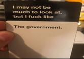 I may not be much to look at, but I f--- like The government.