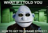 WHAT IF I TOLD YOU HOW TO GET TO SESAME STREET?